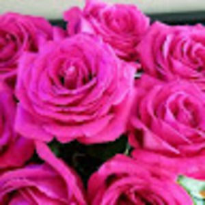 Meet your Posher, Kaylene